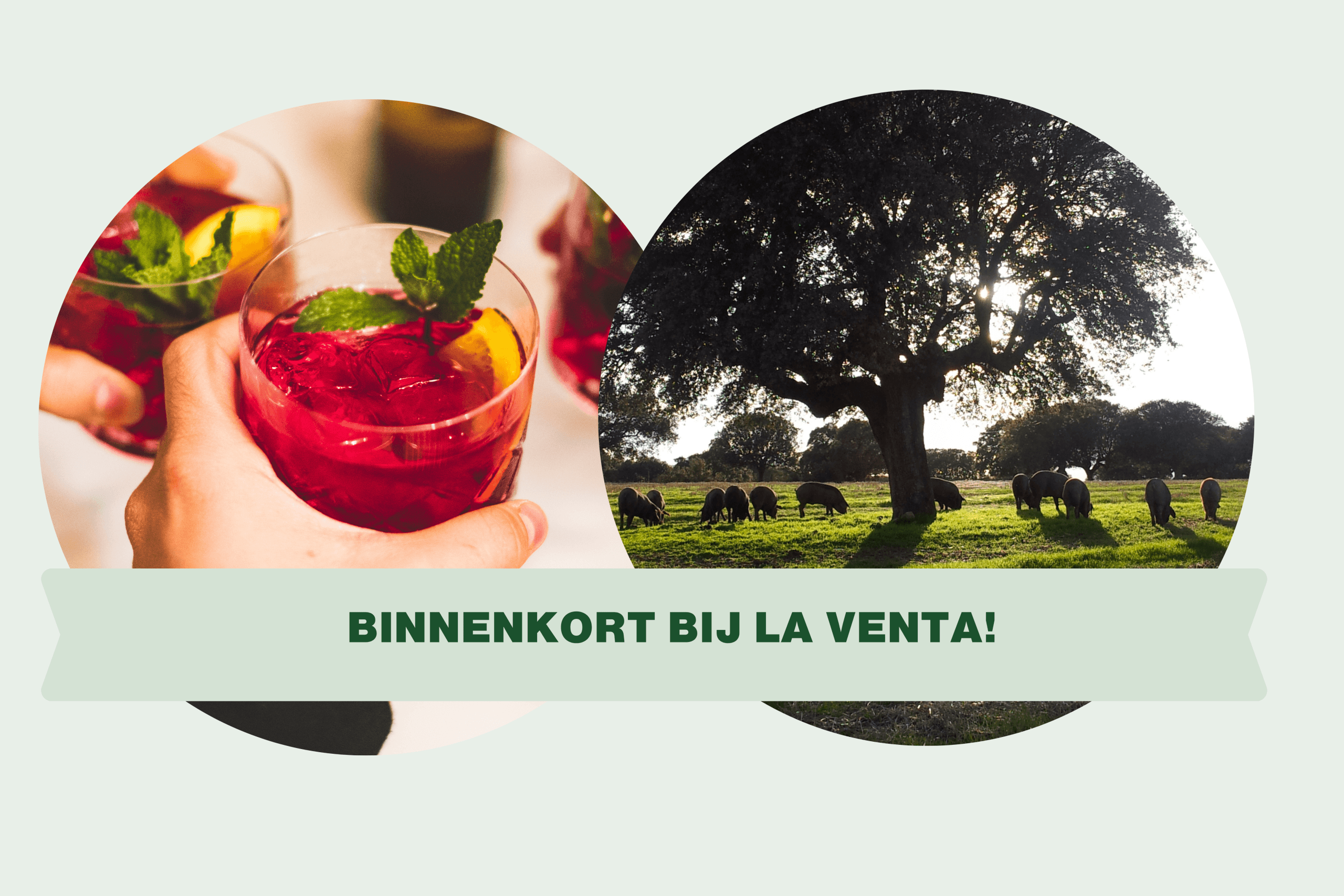 Nieuw receptuur Sangria!