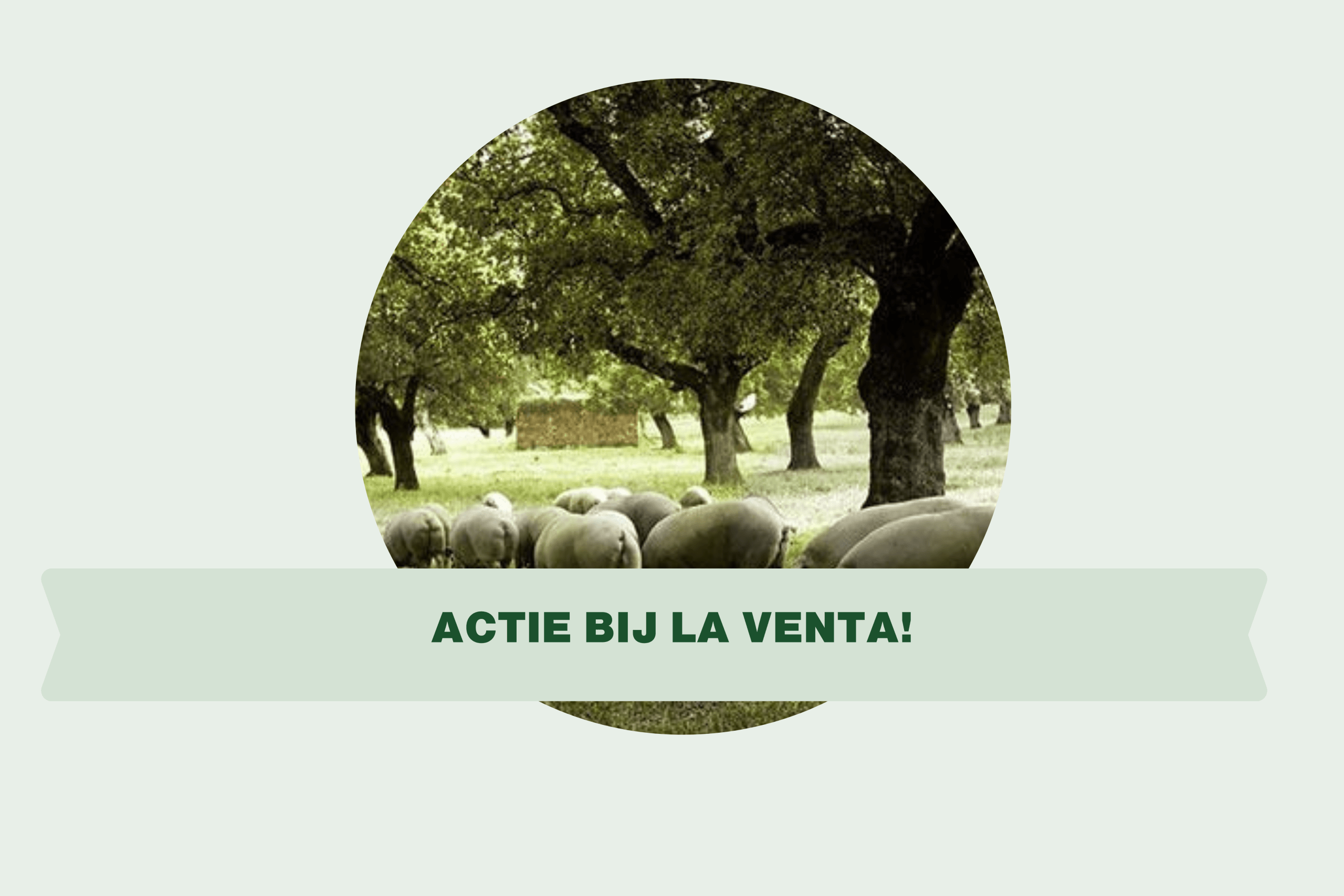 Actie bij La Venta!